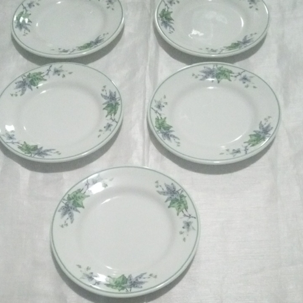 Shenango Classic Botanical Set Of 5 Dinner Plate - White and Green